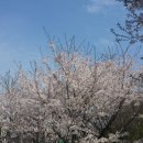 활터어린이공원 이미지