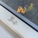 침실습지 화장실 | 제주 월정리 숙소 그슬 볕, 제주 동쪽 자쿠지 감성숙소 추천 자세한 후기