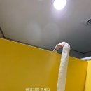 옥이쓰 이미지