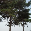 (주)삼정주유소 | 2008.09.15. [한남금북정맥記 9] 방아다리고개→도화동