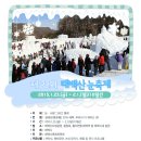 태붐로 Daum카페