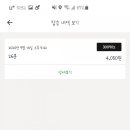 대전지쿠터
