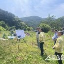 초리저수지 이미지