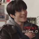 NCT127 더모멘텀 후쿠오카 후기 아닌 후기