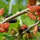 좋은세상 이미지