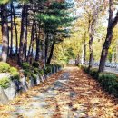 번영로길 이미지