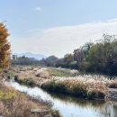 왕숙천 자전거도로17 이미지