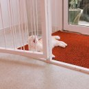 로하동물병원 이미지