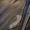 캠프예그리나 이미지