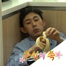코쿤 Daum카페