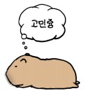 리버스의원 이미지