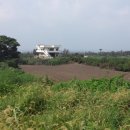 엘리시안타운 앞 이미지