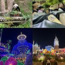 주말 에버랜드 오픈런 31개월 아기랑 사파리 판다월드 로스트밸리 퍼레이드까지