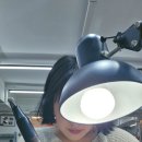 가죽쟁이 이미지