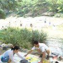 신교카프라자 Daum카페