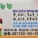 신흥청과 이미지