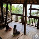대천역 관광안내소 | 문화예술이 있는 섬 - 섬, 고혹적인 정원이 되다! 보령 죽도 상화원