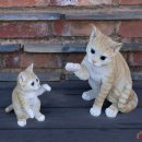 에버랜드 동물병원 이미지