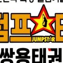 쌍용(태권도) 이미지