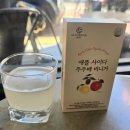 주주베 | MZ 애사비 핫템 애플 사이다 비니거 주주베비니거 사과초모식초