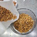 제일농산 | 볶은 카무트 먹는법, 고소함이 살아있는 쉐이크(현대농산 · 내돈내산 후기)