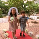 6월3주 Special day - Wedding day & garden party 이미지