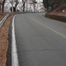 앵산꾀꼬리길 이미지