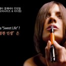 모티브델타 이미지