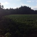 남원읍-106 이미지