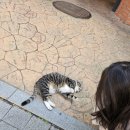 (주)몸부림 이미지