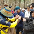 용인자연휴양림3 이미지