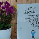 인종차별 이미지