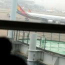 아시아나항공 열린조종사 노동조합 이미지