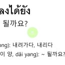 온리유 티스토리