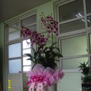 고서초등학교 이미지