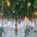 2월 7일(토) 🌼오후 2시 북극해고등어 🌲따스한 수원 일월수목원 그리고 🍹카리브해카페까지~~ 이미지