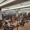 드림 휘트니스 이미지