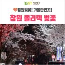 (주)한창여행사 이미지