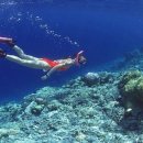 쓰리굿옵티컬안경원 이미지