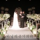 슈가파티 이미지