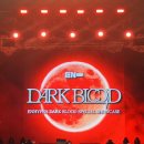앤써독 | 엔하이픈 &#39;Dark Blood&#39; 쇼케이스 후기