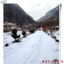 정기농장 Daum카페