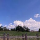 [보배로운 행차] 공연 이미지