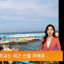 협동조합 블루 이미지