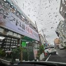 보성식육식당 | 보성 삼겹살백반 맛집 발견! 유가네식육식당 첫 방문 후기