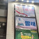 &lt;뮤지컬 너의 결혼식&gt; 20250326 홍주찬 유소리 캐스팅