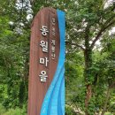 ♡계룡산 국립공원 동월마을 청정계곡 소풍기♡ 이미지
