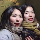 |강원도/정선 여행| 민둥산 등산 어때요?(+당일치기, 텐트 등산 추천(?))