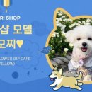 마리샵 이미지