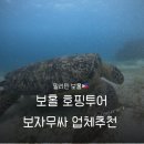 버진 | 보홀 호핑투어 버진아일랜드 후기 보자무싸 업체추천